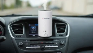 Best Car Humidifier for Dry Air